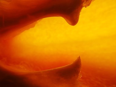 meyve içinde turuncu arka plan arka plan bulanık