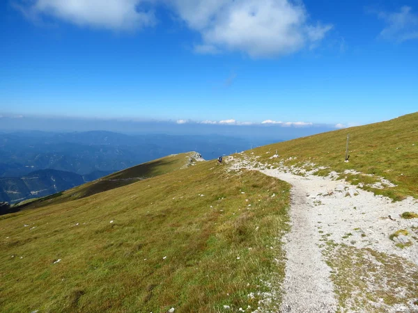 顶级澳大利亚阿尔卑斯山，山顶上一趟 — 图库照片