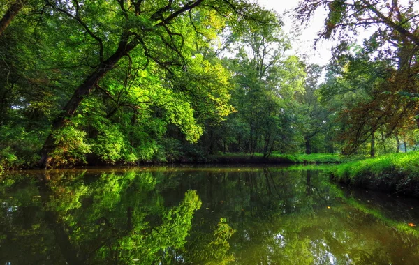 Wygląda na łodzi na rzece i drzew — Zdjęcie stockowe