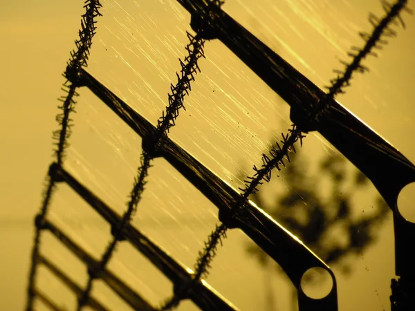 Barbed fence, cobweb in autumn sunset — Stock Photo, Image