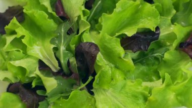 salata