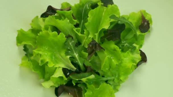 Groene salade — Stockvideo