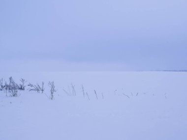 Kış, beyaz ışık gökyüzü, ufuk, üzerinde kahverengi çimenlerin zar zor fark edildiği kar, her şey mavi.