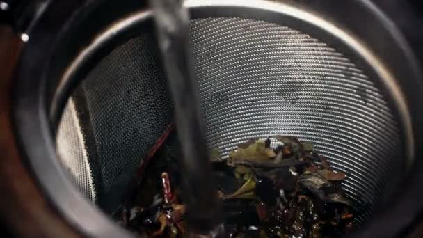 Tea strainer with Chinese white tea — Stock Video