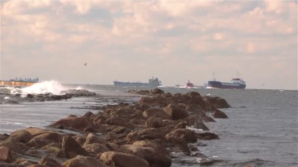 Veel schepen in de zee op de pier. — Stockvideo