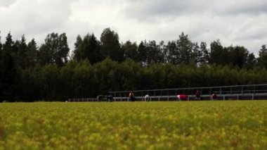 Anonim tarım işçileri kreş plantasyon içinde çalışma