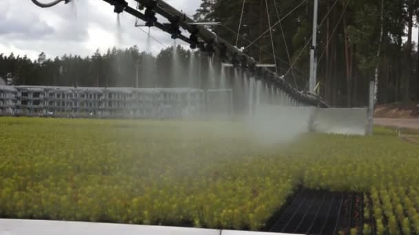 Attrezzatura automatica per irrigazione forestale — Video Stock