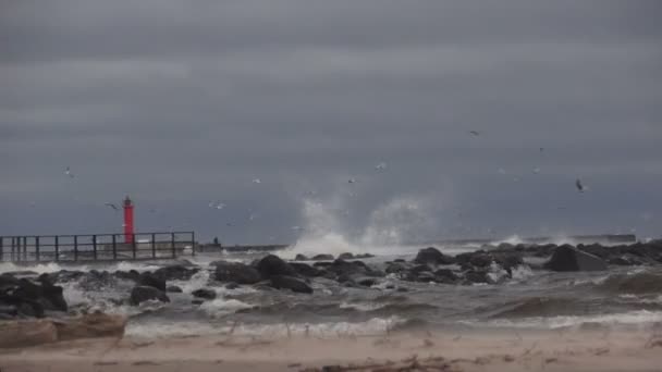 Toupeira no Mar Báltico durante uma tempestade — Vídeo de Stock