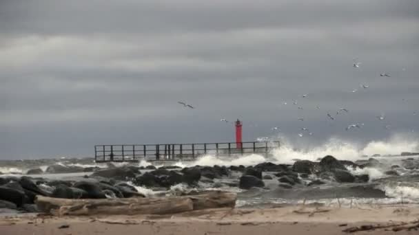 Τυφλοπόντικας στη Βαλτική θάλασσα κατά τη διάρκεια μιας καταιγίδας — Αρχείο Βίντεο
