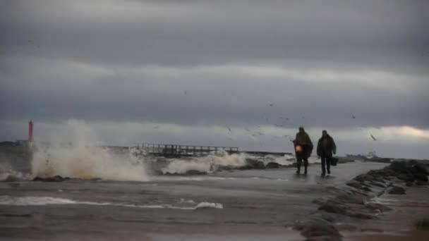 Anglers in the storm on the mols — Stock Video