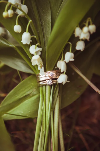 Bagues de mariage or — Photo