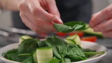 Kadın bir şef sebzeden bir salata yapar. Eller yemek servisi yapar..