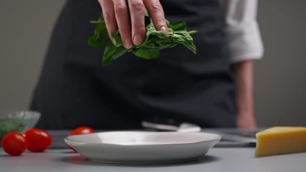 Membuat salad. Daun bayam hijau perlahan jatuh ke piring. Pekerjaan seorang koki wanita di dapur restoran. — Stok Video