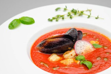 Domates çorbası. Gri arka planda beyaz bir tabakta deniz ürünleri midyesi püresi..