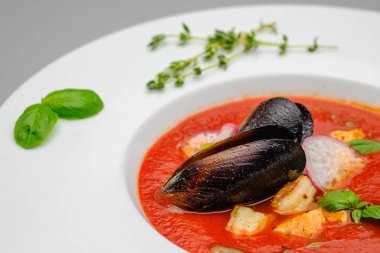 Domates çorbası. Gri arka planda beyaz bir tabakta deniz ürünleri midyesi püresi..