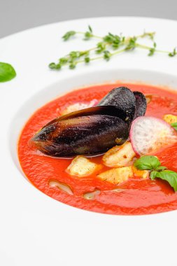 Domates çorbası. Gri arka planda beyaz bir tabakta deniz ürünleri midyesi püresi..