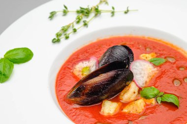 Domates çorbası. Gri arka planda beyaz bir tabakta deniz ürünleri midyesi püresi..