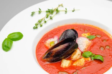 Domates çorbası. Gri arka planda beyaz bir tabakta deniz ürünleri midyesi püresi..