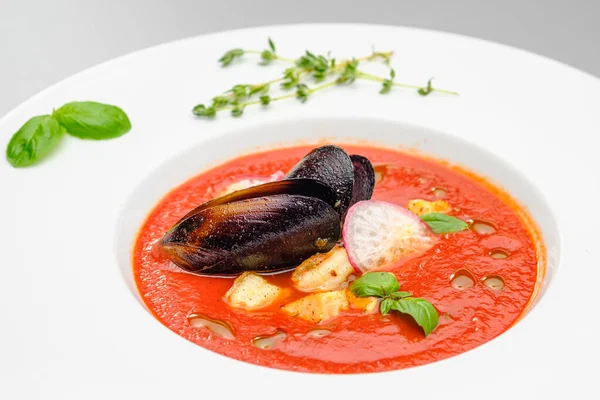 Domates çorbası. Gri arka planda beyaz bir tabakta deniz ürünleri midyesi püresi..