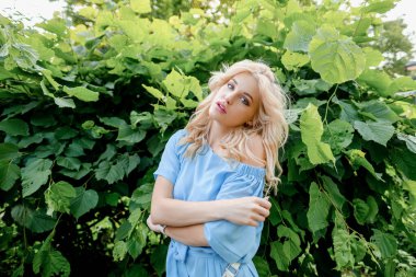 21 yaşında, mavi bir yaz elbisesi içinde beyaz kemer çantalı güzel bir kızın portresi. Kadın gülümsüyor. Güzel dudaklar ve gözler. Uzun gevşek saçlar.