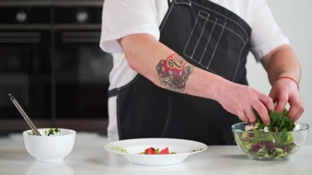 El chef masculino mezcla diferentes tipos de hojas de lechuga. Cocina en la cocina del restaurante. — Vídeos de Stock