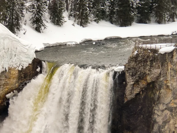 Yellowstone sonbahar bakış açısı ile