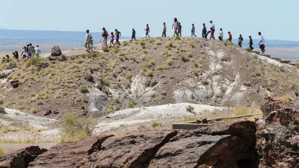 Taşlaşmış Orman Arizona gezinin