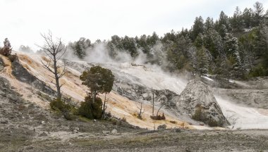 Kaplıcalar şelale Yellowstone Milli Parkı'nda