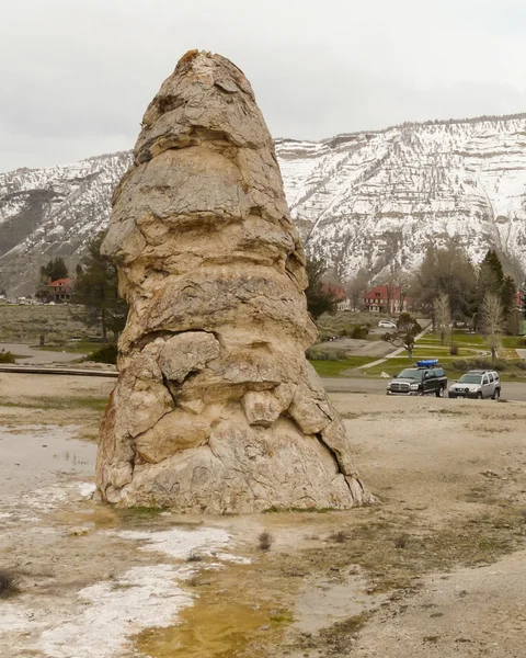 Özgürlük Cap Yellowstone Milli Parkı'nda