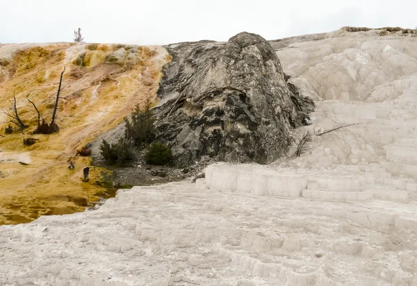 Renkli Kaplıcalar teraslar Yellowstone Milli Parkı'nda