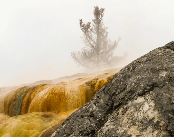Kaplıcalar şelale Yellowstone Milli Parkı'nda
