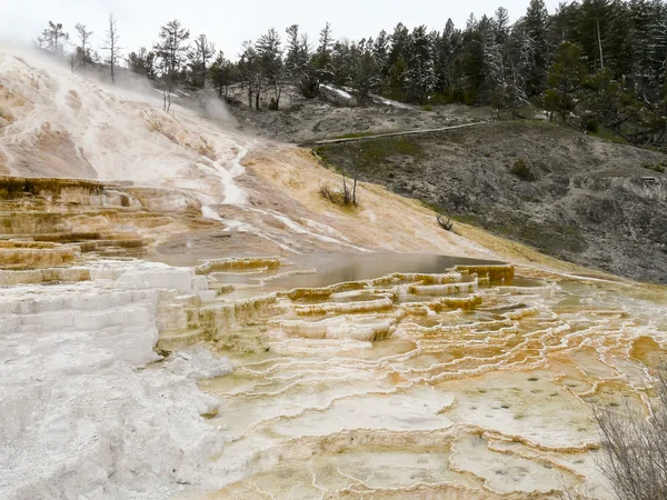 Terrazas de aguas termales coloridas en el Parque Nacional de Yellowstone — Foto de Stock