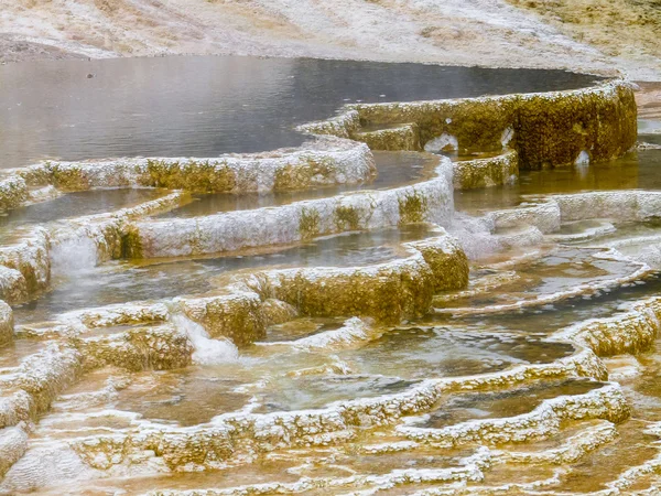 Renkli Kaplıcalar teraslar Yellowstone Milli Parkı'nda