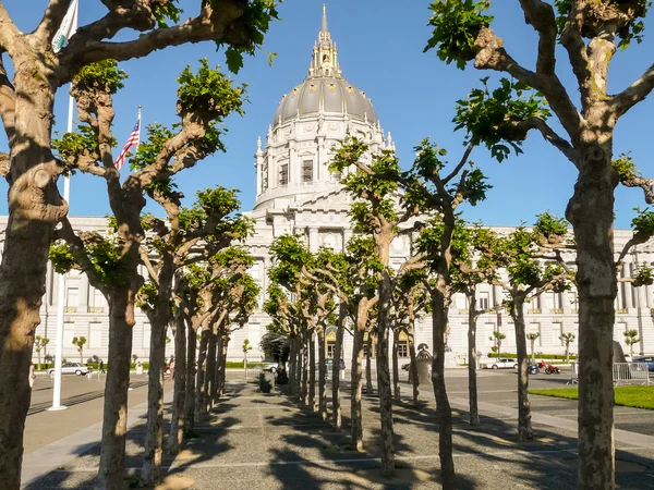 San Francisco City Hall ağaçların arkasında