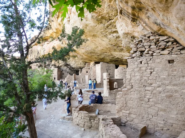 Mesa Verde Milli Parkı'nda ziyaret edenler