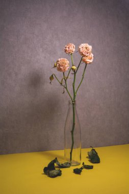 Cam bir şişede kurumuş güller. Düşen yapraklar