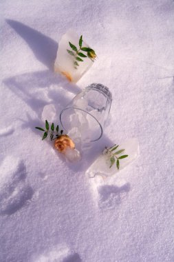 Donmuş çiçekler. Baharın geleceği fikri.