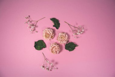 Pembe arka planda kurumuş çiçekler ve kuru yapraklar.