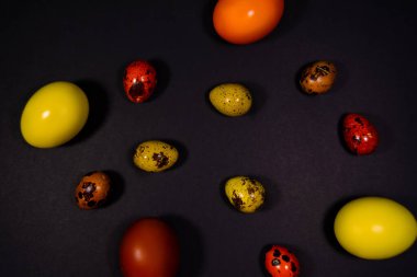 Siyah arka planda Paskalya yumurtaları. Boşluğu kopyala