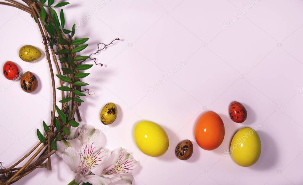 Easter eggs with nast and plants on a white background