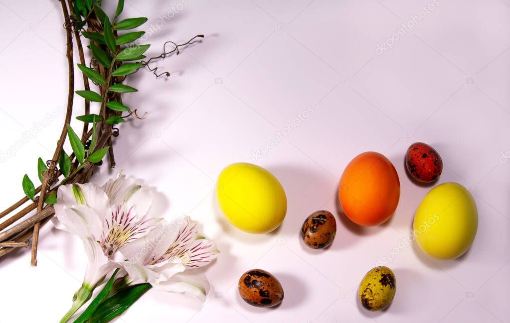 Easter eggs with nast and plants on a white background