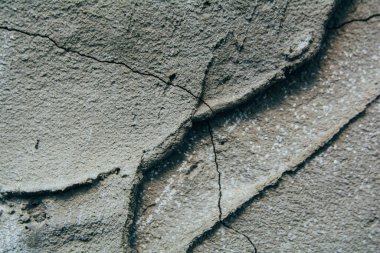 Gri alçılı beton duvar. Fikirlerin için dokulu arka plan