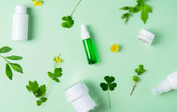 Zestaw produktów kosmetycznych z dzikimi roślinami na zielonym tle — Zdjęcie stockowe