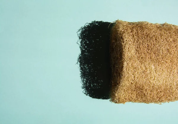 Éponge naturelle de loofah sur fond bleu — Photo