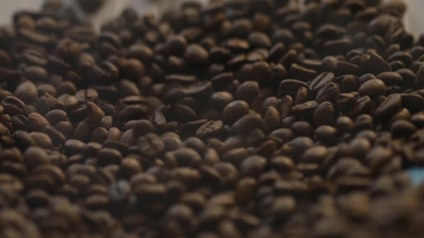 Gebrande Koffiebonen Die Naar Beneden Stromen — Stockvideo