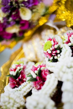 Doğa bir mor veya yeşil yaprak ile pembe Lotus