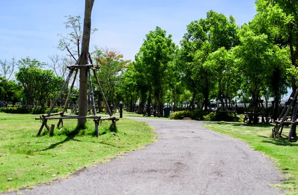 Yeşil şehir parkı ve yürüyüş yolu — Stok fotoğraf