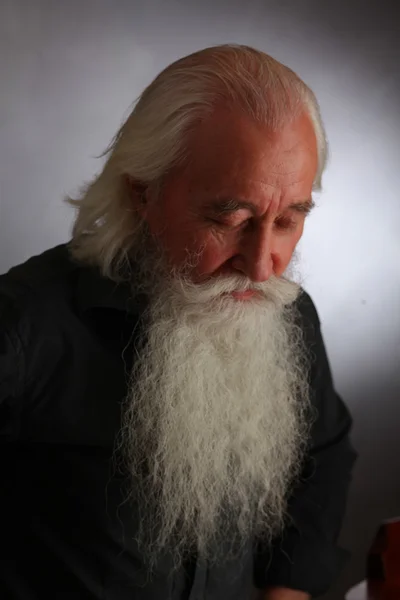 Bilge bir adam portresi