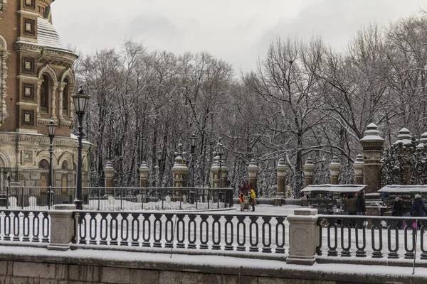 Mikhailovsky Garden Petersburg Winter — Stock Photo, Image