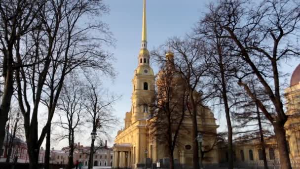 Catedral Pedro Pablo San Petersburgo Invierno Varios Ángulos Tamaño 1980X1080 — Vídeo de stock